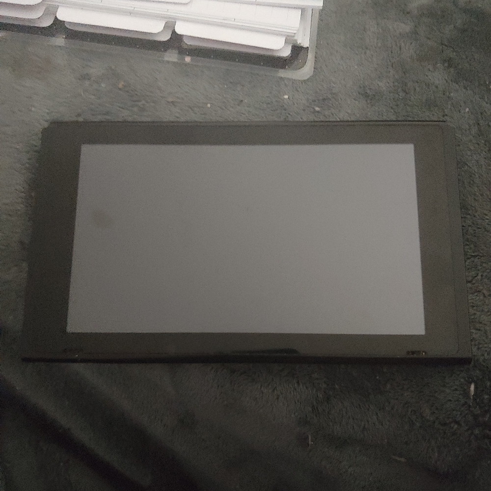Nintendo switch Console only